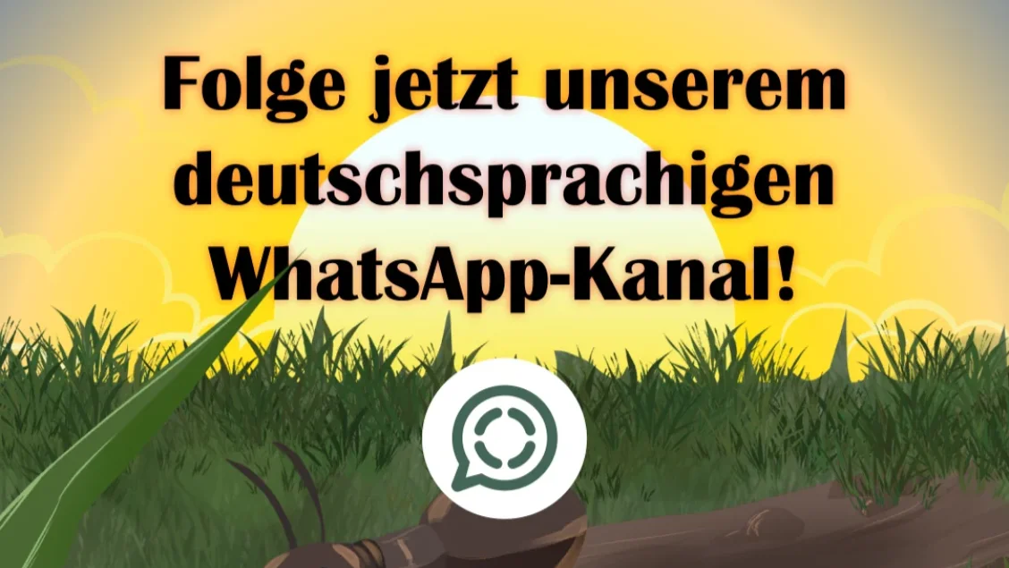 Übrigens: Unser deutscher WhatsApp-Kanal ist live!