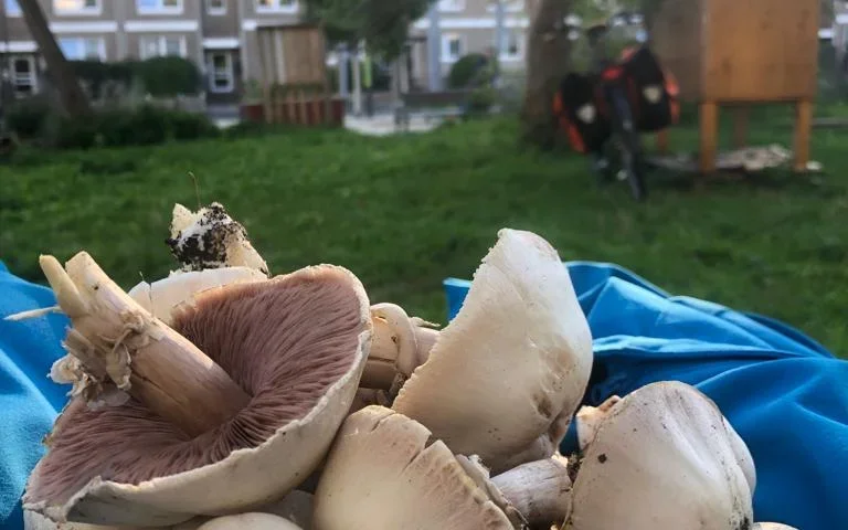 gartenzeit