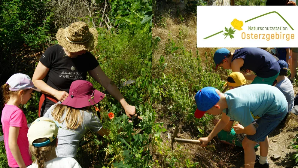 Junge Naturwächter - Hand in Hand für die Natur im Landkreis Sächsische Schweiz-Osterzgebirge!
