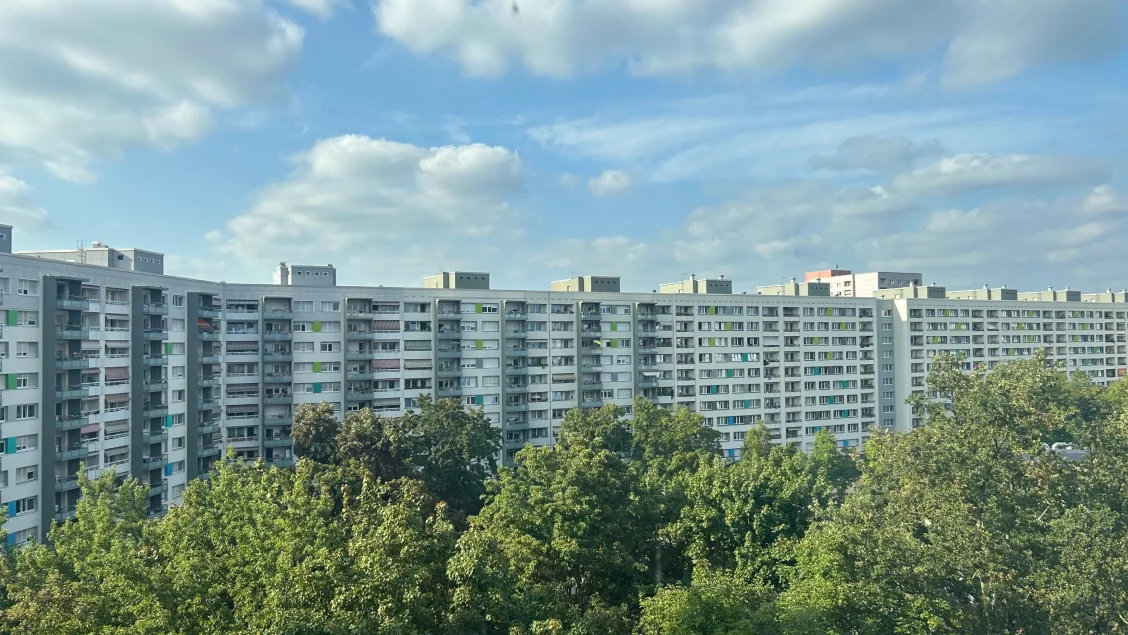 Mietgemeinschaft Johannstadt