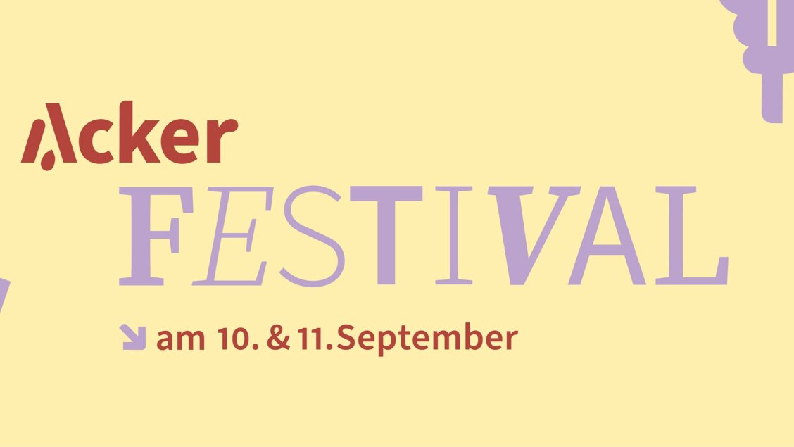 SINN auf dem Acker Festival
