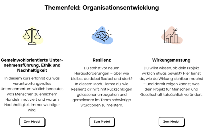 Man sieht einen Webseiten-Ausschnitt der SINN-Webseite. Oben steht Themenfeld: Organisationsentwicklung - Link: Frei verfügbare Lernmodule auf der SINN-Seite