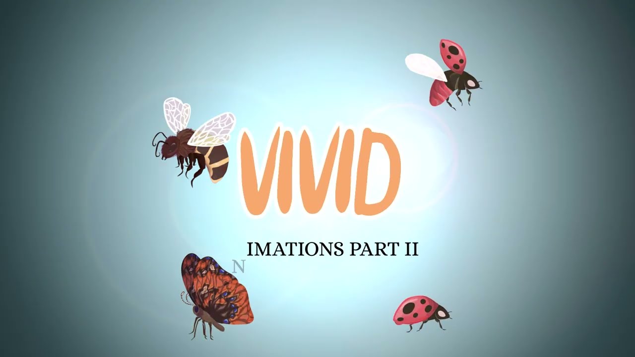 Video Vorschaubild